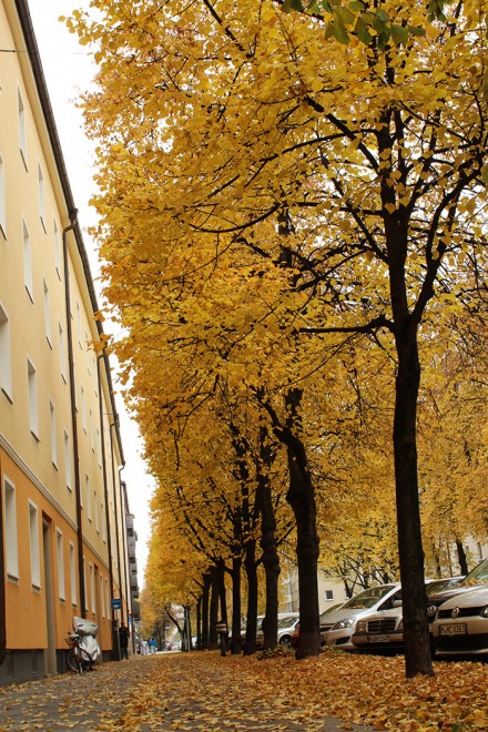 Outono em Munique
