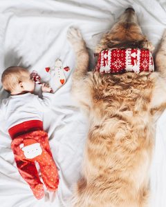 bebê e cachorro Natal