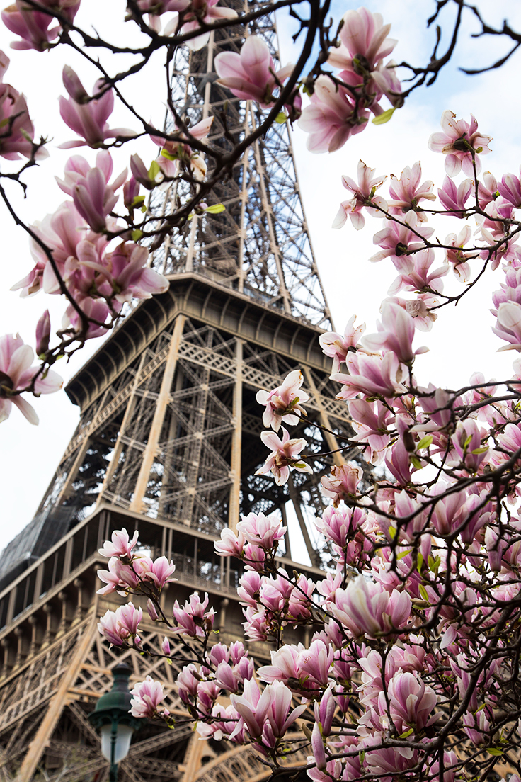 10 coisas que você precisa fazer em Paris