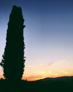 Pôr do sol na Toscana, Itália